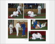 judo_04_sc_armin_b.jpg