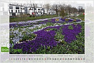 01_2011_lgs_l.jpg