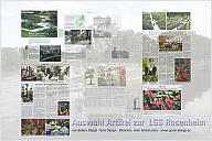 14_2011_lgs_l.jpg