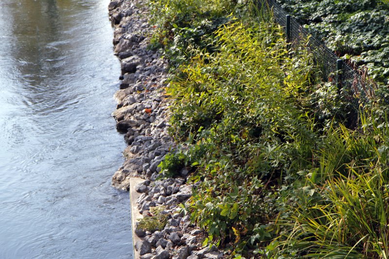 10_rosenheim_7460b.jpg