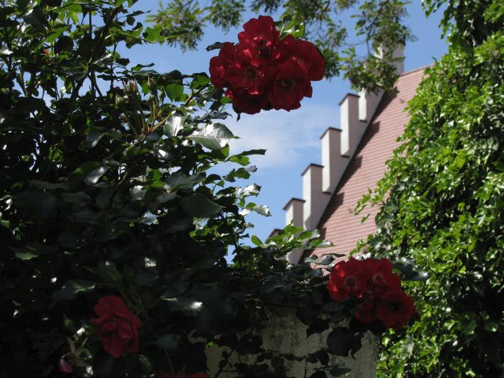 03_rosenschloss_5155.jpg
