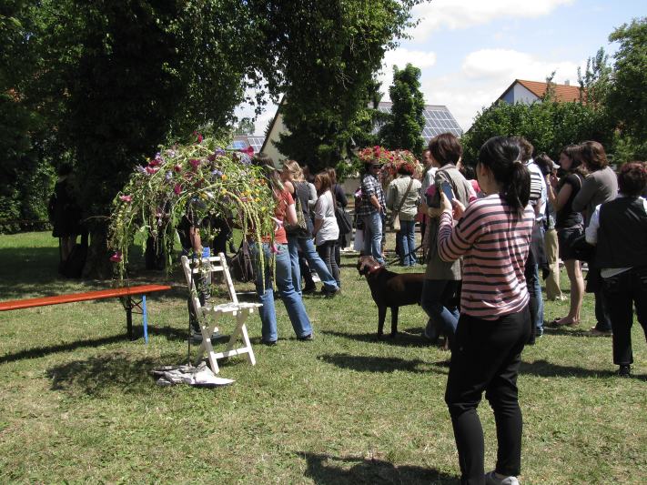 13_silb_rose_2011_5192.jpg