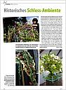 01_florist_07_2011_07_01_2011_1.jpg