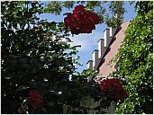 03_rosenschloss_5155.jpg