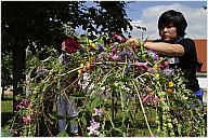 06_silb_rose_2011_8052.jpg
