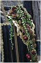 07_silb_rose_2011_7936.jpg