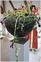 10_silb_rose_2011_7916.jpg