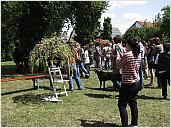 13_silb_rose_2011_5192.jpg
